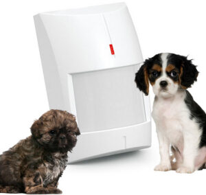 SATEL Czujnik Ruchu PIR+MW Grey