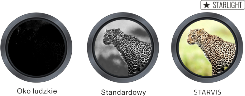 Kamera IP Kenik KG-8050TZS-I